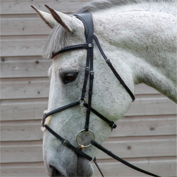 Henry James Mexican Grackle Bridle HJ-BR-05 - BLACK